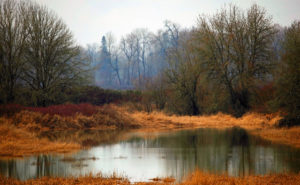 4320609447_d64f2d2d02_z